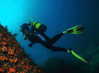 imagen buceo